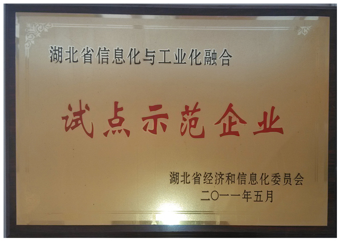 兩化融合示范企業