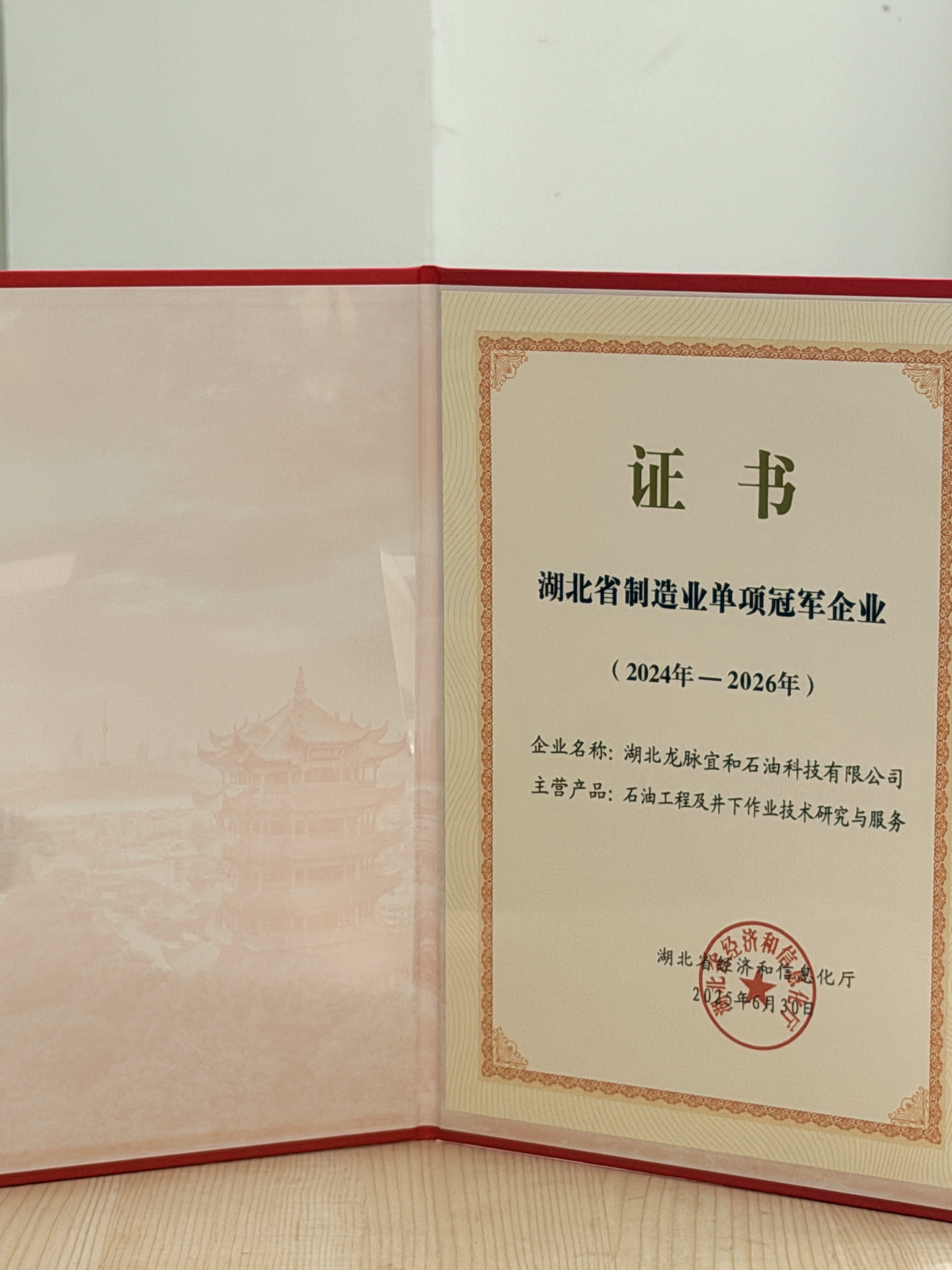 Hubei Province's Manufacturing Industry Single Champion Enterprises